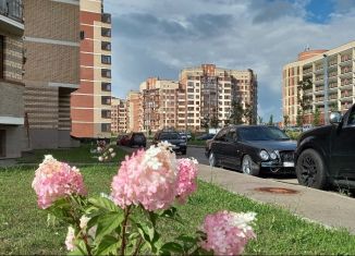 Продам квартиру студию, 23 м2, деревня Ивановское, улица Семёна Гордого, 12