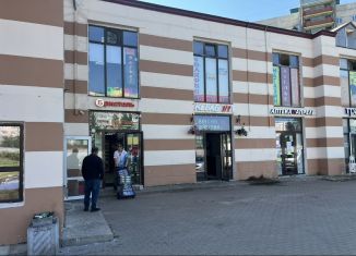 Продается помещение свободного назначения, 101.3 м2, Санкт-Петербург, проспект Ударников, 47, муниципальный округ Ржевка