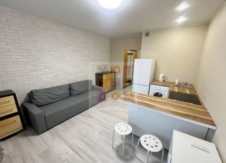 Сдаю в аренду квартиру студию, 23 м2, Архангельск, улица Гайдара, 57к4, Октябрьский округ