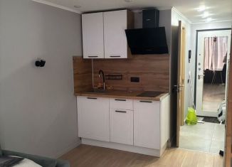 Сдам в аренду квартиру студию, 25 м2, Москва, Байкальская улица, 13, район Гольяново