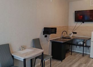 Сдача в аренду квартиры студии, 25 м2, Екатеринбург, улица Рябинина, 18/3