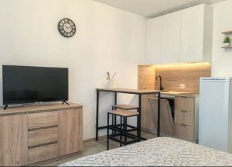 Аренда квартиры студии, 22 м2, посёлок Шушары, Новгородский проспект, 2к3