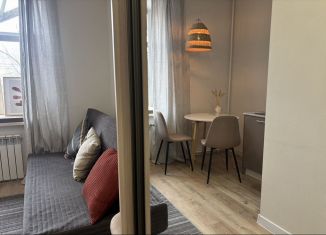 Сдается в аренду квартира студия, 16 м2, Екатеринбург, улица Гагарина, 53А