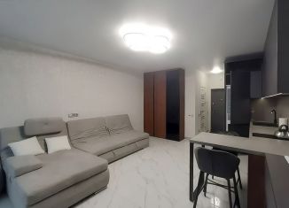 Продается квартира студия, 25.1 м2, Краснодар, улица им. Героя Яцкова И.В., 9к3, микрорайон Губернский