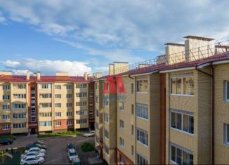 1-ком. квартира в аренду, 32 м2, Ярославль, улица Александра Додонова, 8к4, ЖК Норские Резиденции