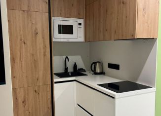 Сдается квартира студия, 30 м2, Сочи, Курортный проспект, 96Гк1, микрорайон Приморье