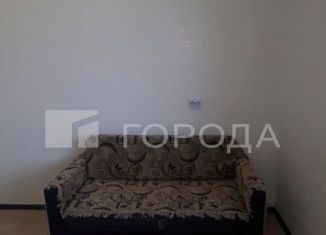 Сдам квартиру студию, 32.6 м2, Новосибирск, улица Татьяны Снежиной, 45/1, Октябрьский район