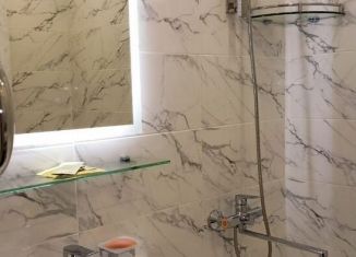 Сдам в аренду 2-комнатную квартиру, 49 м2, Тихвин, 5-й микрорайон, 32