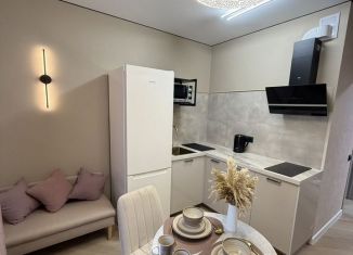 Сдам однокомнатную квартиру, 37 м2, Ростов-на-Дону, проспект Маршала Жукова, 16/6, Советский район