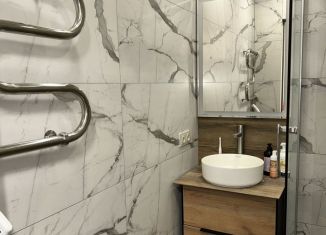 Однокомнатная квартира в аренду, 30 м2, Тула, Красноармейский проспект, 38