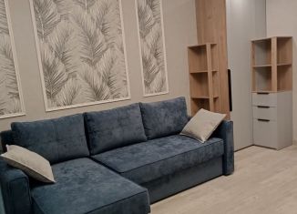 Сдается в аренду двухкомнатная квартира, 50 м2, Йошкар-Ола, улица Лебедева, 47, микрорайон Нагорный