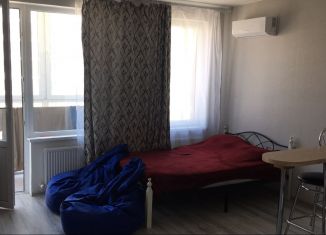Квартира в аренду студия, 30.4 м2, Краснодарский край, Анапское шоссе, 24к4