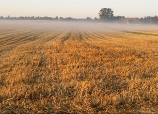 Продам земельный участок, 10 сот., деревня Грановщина