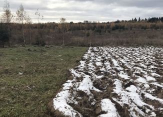 Продам участок, 10 сот., деревня Василёво