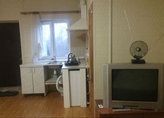 Сдаю в аренду 1-комнатную квартиру, 30 м2, село Тарасовка, Народная улица