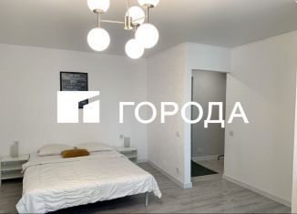 Продажа 1-комнатной квартиры, 31.5 м2, Москва, Крутицкая набережная, 17, Крутицкая набережная