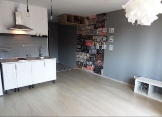 Сдам в аренду квартиру студию, 27 м2, Мурино, Екатерининская улица, 14, ЖК Три кита