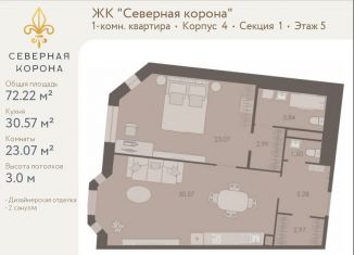 1-ком. квартира на продажу, 72.2 м2, Санкт-Петербург, Дворцовая площадь, метро Адмиралтейская