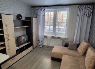 Квартира в аренду студия, 26 м2, Мурино, Екатерининская улица, 14, ЖК Три кита