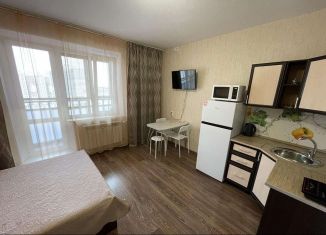 Квартира в аренду студия, 30 м2, Челябинская область, улица Братьев Кашириных, 119