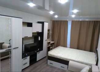 1-ком. квартира в аренду, 30 м2, Кировск, улица Шилейко, 8