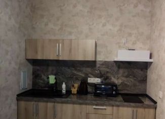 Аренда 1-комнатной квартиры, 40 м2, Краснодарский край, улица Красных Партизан, 1/4к16