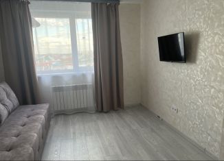 Сдаю в аренду 1-ком. квартиру, 32 м2, деревня Крутые Выселки, Лучезарная улица, 10Б