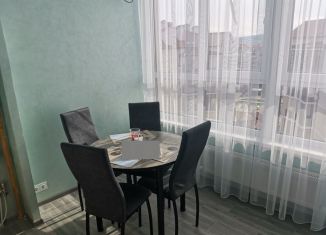 Квартира в аренду студия, 33 м2, Краснодарский край, Крымская улица