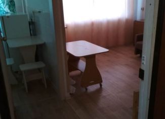 1-комнатная квартира в аренду, 30 м2, Новосибирск, улица Блюхера
