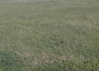 Участок на продажу, 10 сот., село Новомонастырское