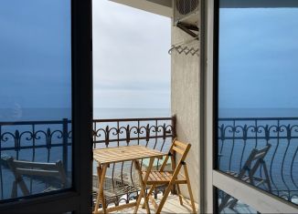 Продам квартиру студию, 26 м2, поселок Семидворье, улица Восточная Набережная, 7