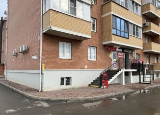 Продаю торговую площадь, 246.7 м2, посёлок Российский, улица имени В.М. Комарова, 106Бк1