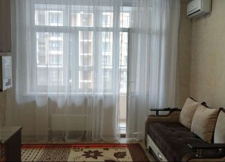 Аренда квартиры студии, 30 м2, Краснодар, улица Григория Булгакова, микрорайон Достояние