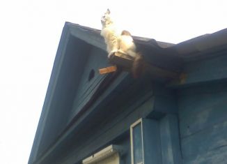 Продаю дом, 40 м2, Володарск, улица Лермонтова