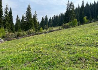 Участок на продажу, 49 сот., село Ассы