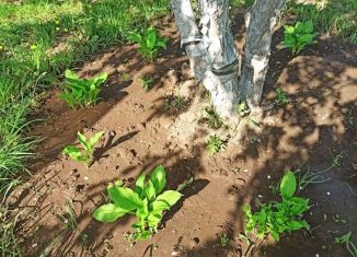 Продажа дома, 30 м2, СНТ Буровик