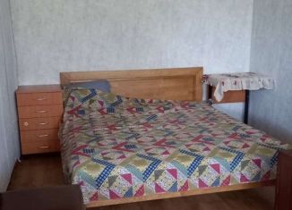 Сдается квартира студия, 38 м2, поселок Зверосовхоза, Центральная улица