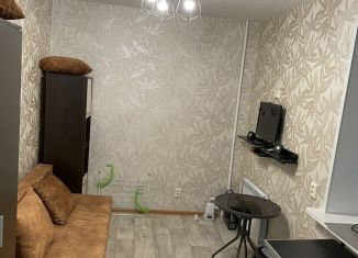 Квартира в аренду студия, 20 м2, Пермь, шоссе Космонавтов, 84А