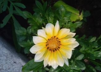 Участок на продажу, 10 сот., деревня Перебор, улица Ленина