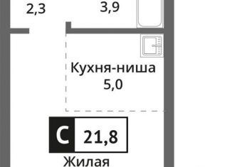1-комнатная квартира на продажу, 21.8 м2, Московская область