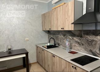 2-комнатная квартира в аренду, 56.3 м2, Мытищи, улица Борисовка, 28А