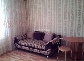 Сдаю в аренду квартиру студию, 30 м2, Новосибирская область, Сухарная улица, 96