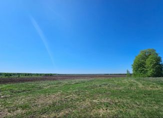 Продаю земельный участок, 8 сот., деревня Старые Киешки