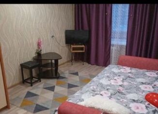 Однокомнатная квартира в аренду, 40 м2, Свердловская область, улица Рюмина, 24