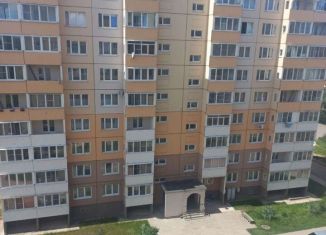 Сдаю в аренду однокомнатную квартиру, 38 м2, Псковская область, переулок Пескарёва, 3к2