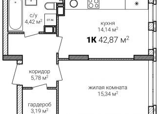 1-ком. квартира на продажу, 42.9 м2, Нижегородская область