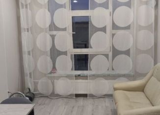 Аренда квартиры студии, 23.7 м2, Мурино, ЖК Муринское-1, улица Шоссе в Лаврики