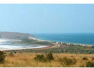 Участок на продажу, 10 сот., товарищество собственников недвижимости Космос