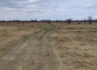 Продажа участка, 9.3 сот., деревня Кайбалы, 95Н-011