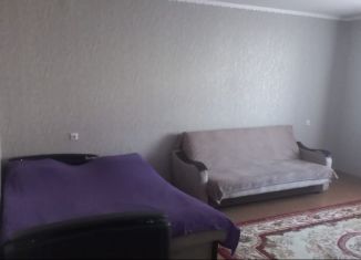 Аренда 1-комнатной квартиры, 36 м2, Владимирская область, Транспортная улица, 10А